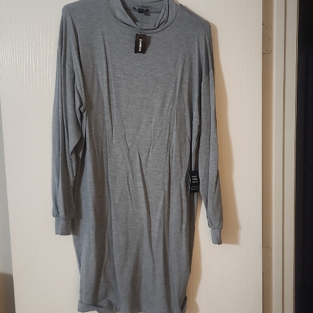 Express Bodycon Longsleeve Dress